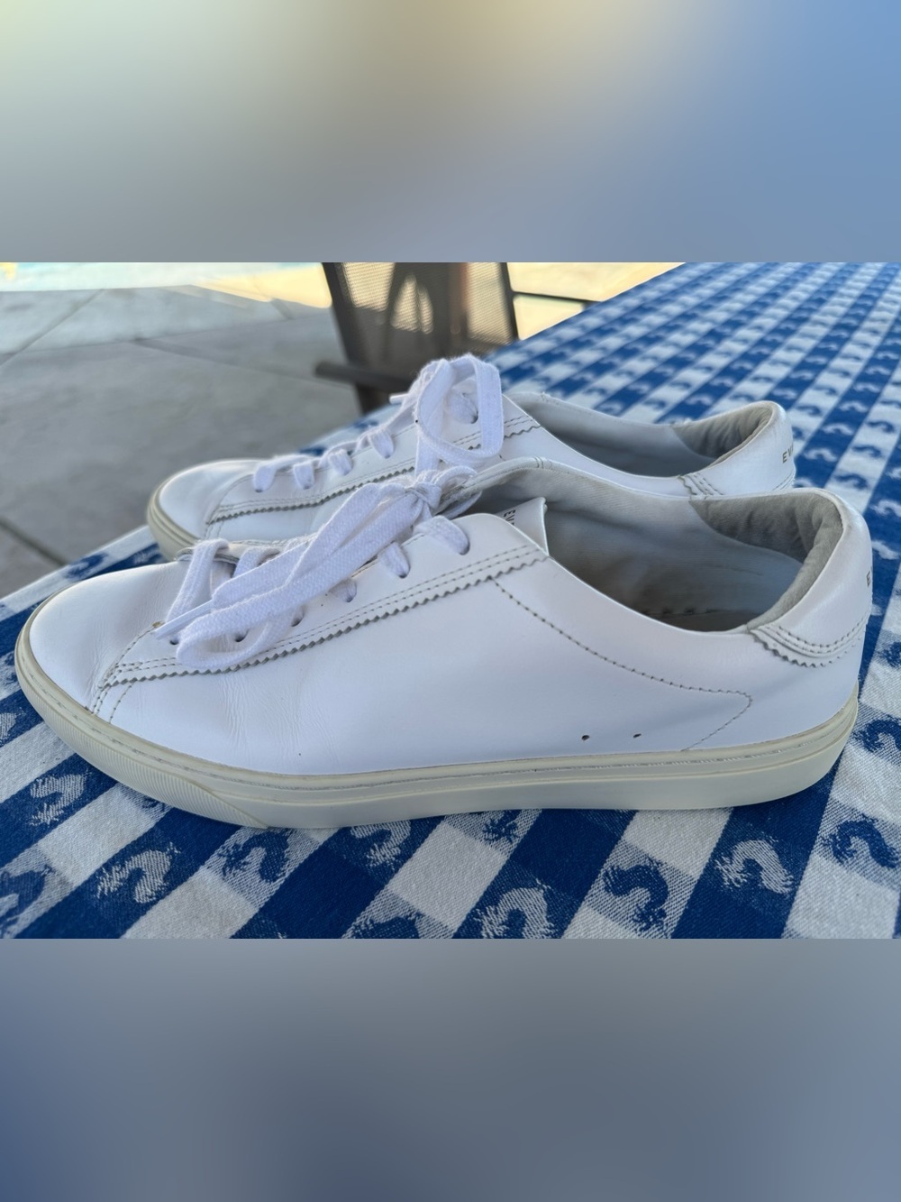 Everlane THE DAY SNEAKER Sz 9W